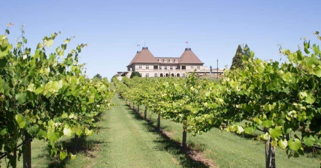 Chateau Elan