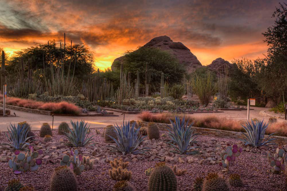 bachelorette party ideas in north phoenix