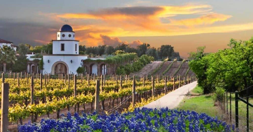 texas-wine-country